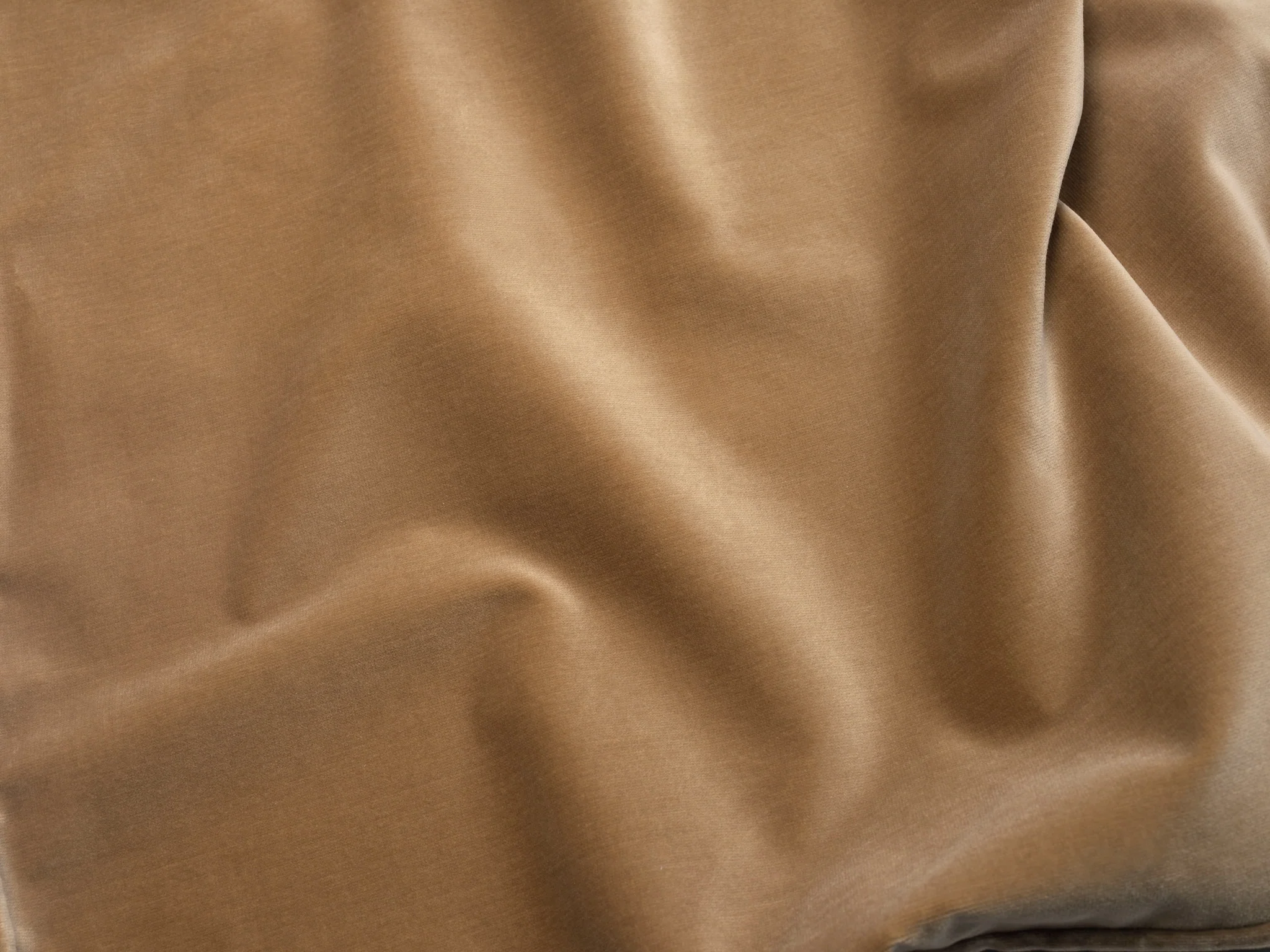Lumbar Velvet - Latte Cushion - Image 3